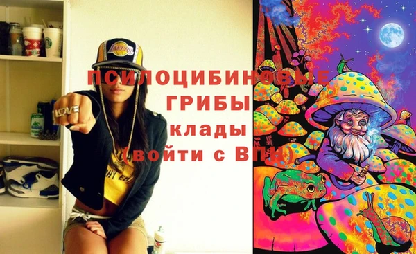 Альфа ПВП Алзамай