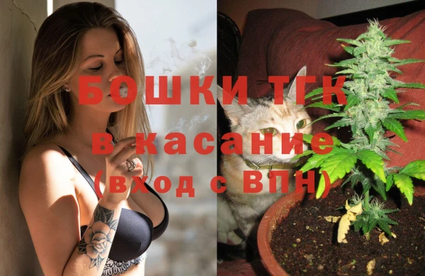 мет Алексин