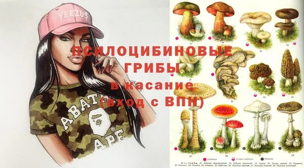 Альфа ПВП Алзамай