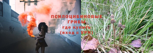 мет Алексин