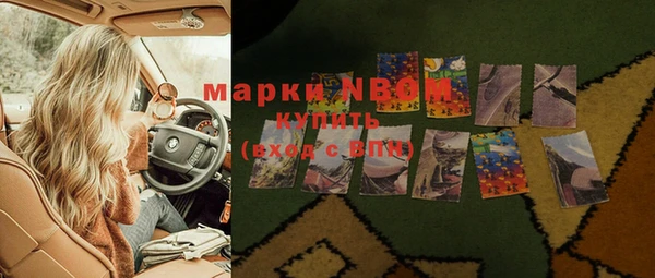 мет Алексин