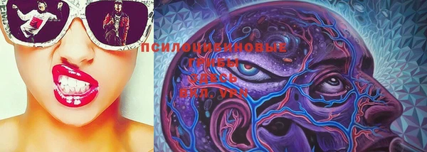 дживик Алексеевка