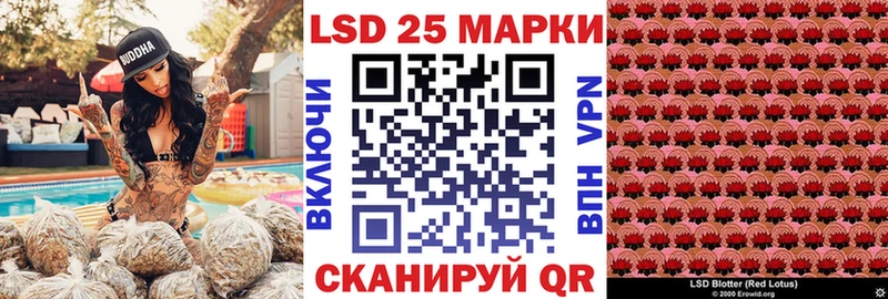 магазин    Лермонтов  Марки NBOMe 1500мкг 
