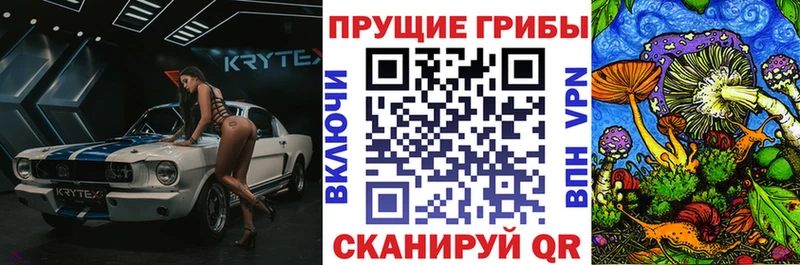 Галлюциногенные грибы ЛСД  Лермонтов 